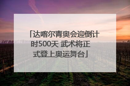 达喀尔青奥会迎倒计时500天 武术将正式登上奥运舞台