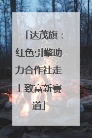 达茂旗：红色引擎助力合作社走上致富新赛道
