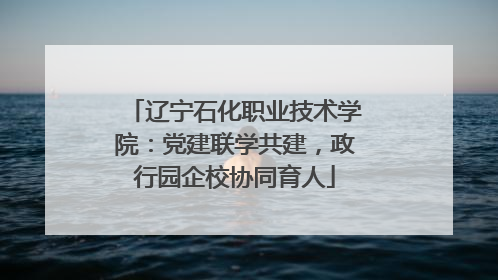 辽宁石化职业技术学院：党建联学共建，政行园企校协同育人