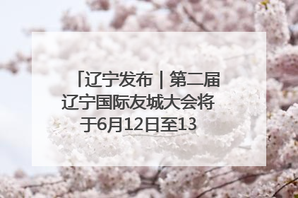 辽宁发布｜第二届辽宁国际友城大会将于6月12日至13日在沈阳举办