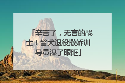 辛苦了，无言的战士！警犬退役撒娇训导员湿了眼眶