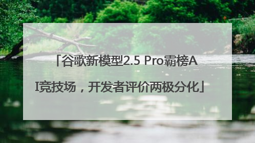 谷歌新模型2.5 Pro霸榜AI竞技场，开发者评价两极分化