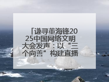 谦寻董海锋2025中国网络文明大会发声：以“三个向善”构建直播电商善意长河