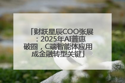 财跃星辰COO张展：2025年AI普惠破圈，C端智能体应用成金融转型关键
