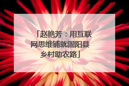 赵艳芳：用互联网思维铺就固阳县乡村助农路