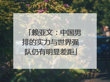 赖亚文：中国男排的实力与世界强队仍有明显差距