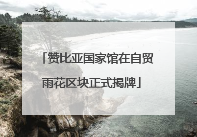 赞比亚国家馆在自贸雨花区块正式揭牌