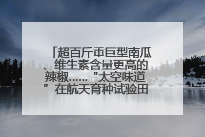 超百斤重巨型南瓜、维生素含量更高的辣椒……“太空味道”在航天育种试验田里拔节生长