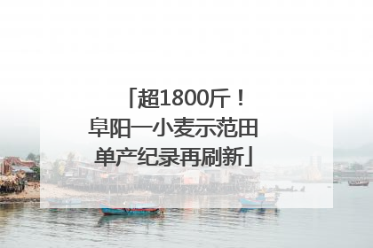 超1800斤！阜阳一小麦示范田单产纪录再刷新