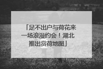 足不出户与荷花来一场浪漫约会！湖北推出赏荷地图