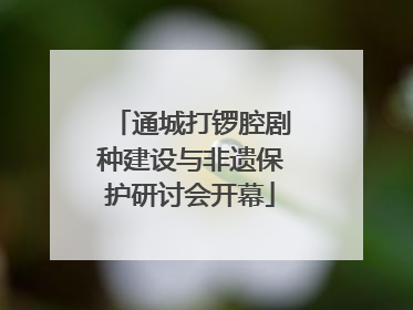 通城打锣腔剧种建设与非遗保护研讨会开幕