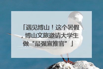 遇见博山！这个暑假，博山文旅邀请大学生做“最强宣推官”