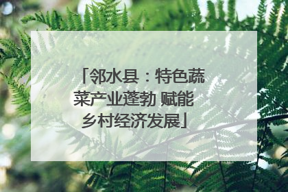 邻水县：特色蔬菜产业蓬勃 赋能乡村经济发展