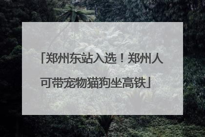 郑州东站入选！郑州人可带宠物猫狗坐高铁