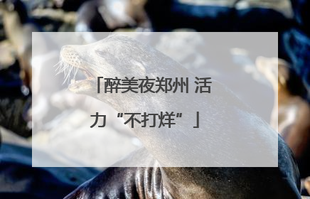 醉美夜郑州 活力“不打烊”