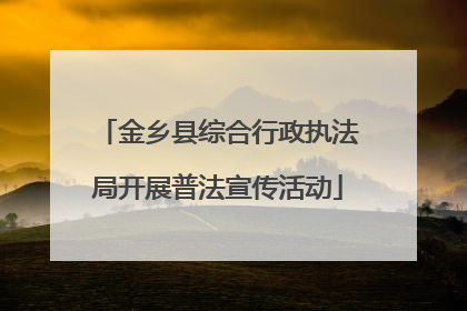 金乡县综合行政执法局开展普法宣传活动