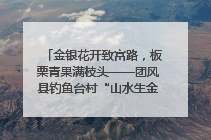 金银花开致富路，板栗青果满枝头——团风县钓鱼台村“山水生金”谱写共富新篇章