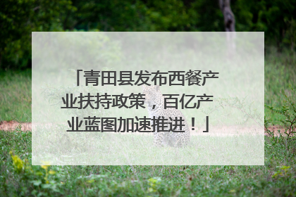 青田县发布西餐产业扶持政策，百亿产业蓝图加速推进！
