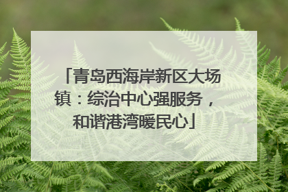 青岛西海岸新区大场镇：综治中心强服务，和谐港湾暖民心
