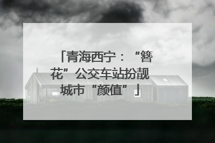 青海西宁：“簪花”公交车站扮靓城市“颜值”
