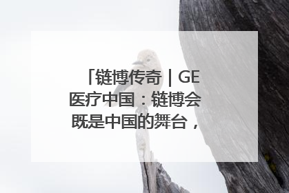 链博传奇｜GE医疗中国：链博会既是中国的舞台，也是世界的橱窗