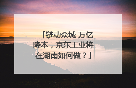 链动众城 万亿降本，京东工业将在湖南如何做？