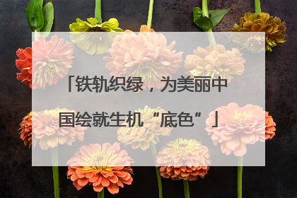 铁轨织绿，为美丽中国绘就生机“底色”