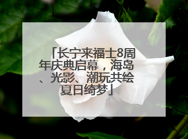长宁来福士8周年庆典启幕，海岛、光影、潮玩共绘夏日绮梦