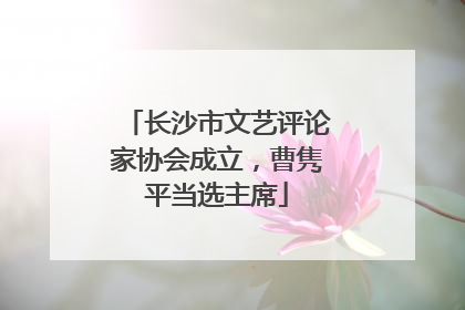 长沙市文艺评论家协会成立，曹隽平当选主席