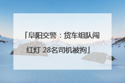 阜阳交警：货车组队闯红灯 28名司机被拘