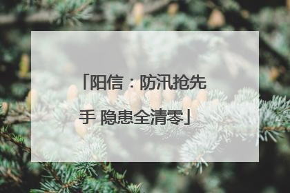 阳信：防汛抢先手 隐患全清零