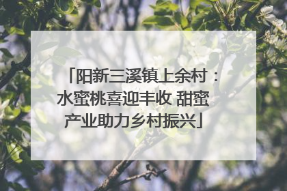 阳新三溪镇上余村：水蜜桃喜迎丰收 甜蜜产业助力乡村振兴