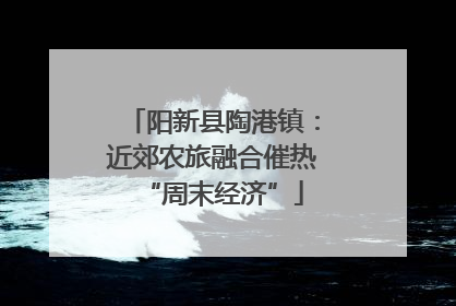 阳新县陶港镇：近郊农旅融合催热“周末经济”