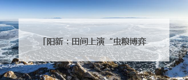 阳新：田间上演“虫粮博弈”看生物武器扭转“战局”