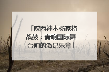 陕西神木杨家将战鼓：奏响国际舞台前的激昂乐章