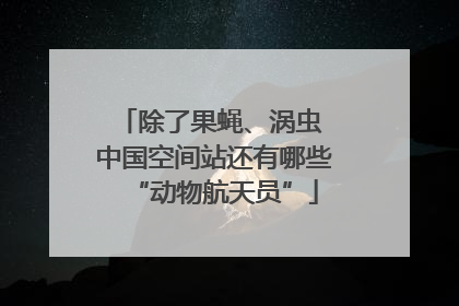 除了果蝇、涡虫 中国空间站还有哪些“动物航天员”