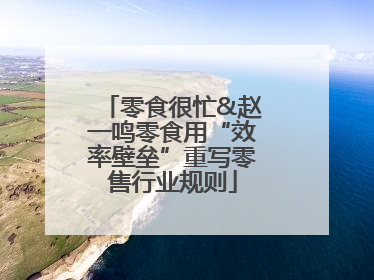 零食很忙&赵一鸣零食用“效率壁垒”重写零售行业规则