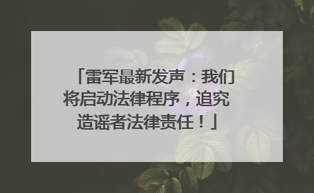 雷军最新发声：我们将启动法律程序，追究造谣者法律责任！