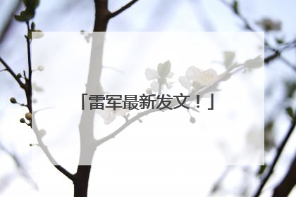 雷军最新发文！