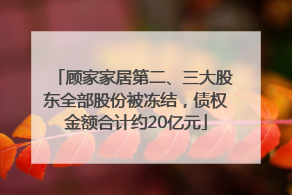 顾家家居第二、三大股东全部股份被冻结，债权金额合计约20亿元