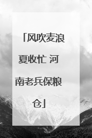 风吹麦浪夏收忙 河南老兵保粮仓