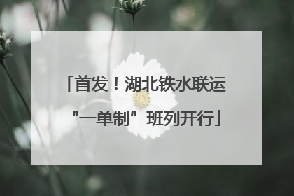 首发！湖北铁水联运“一单制”班列开行