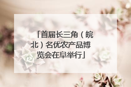 首届长三角（皖北）名优农产品博览会在阜举行