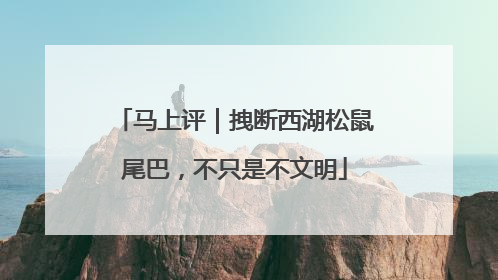 马上评｜拽断西湖松鼠尾巴，不只是不文明