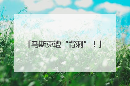 马斯克遭“背刺”！