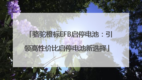 骆驼橙标EFB启停电池：引领高性价比启停电池新选择
