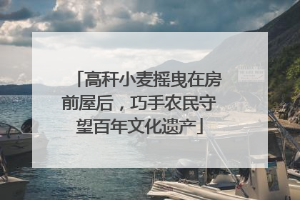 高秆小麦摇曳在房前屋后，巧手农民守望百年文化遗产