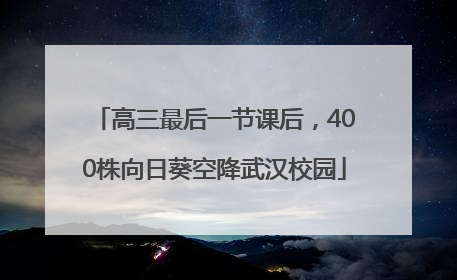 高三最后一节课后，400株向日葵空降武汉校园