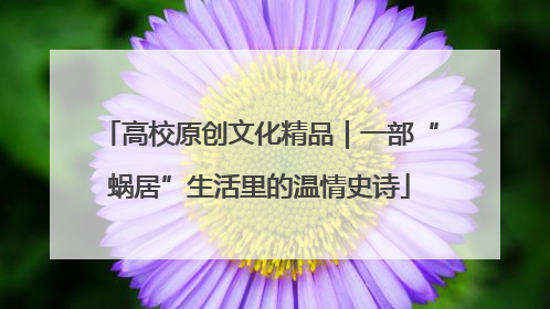 高校原创文化精品｜一部“蜗居”生活里的温情史诗