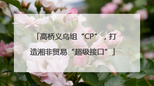高桥义乌组“CP”，打造湘非贸易“超级接口”
